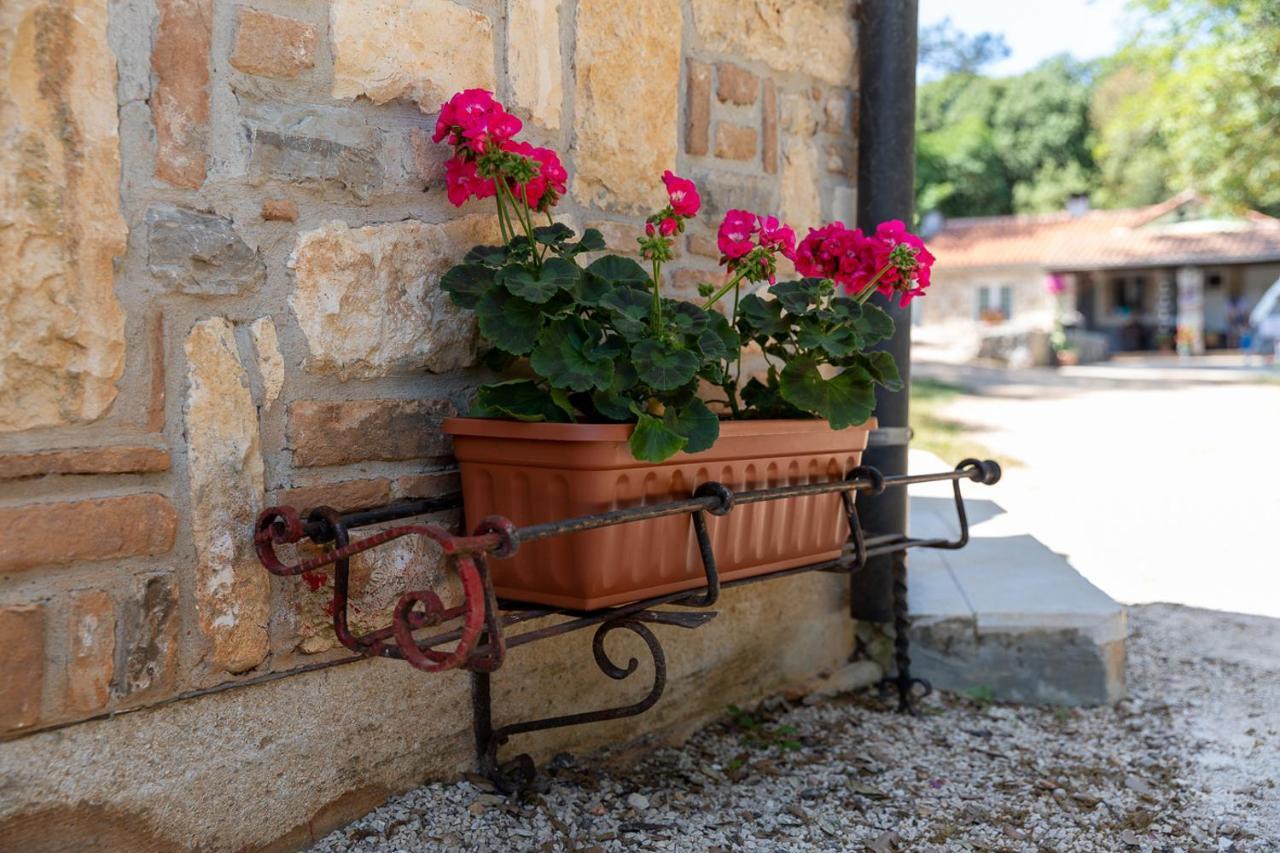 Holiday House Hana Rovinj Exterior foto