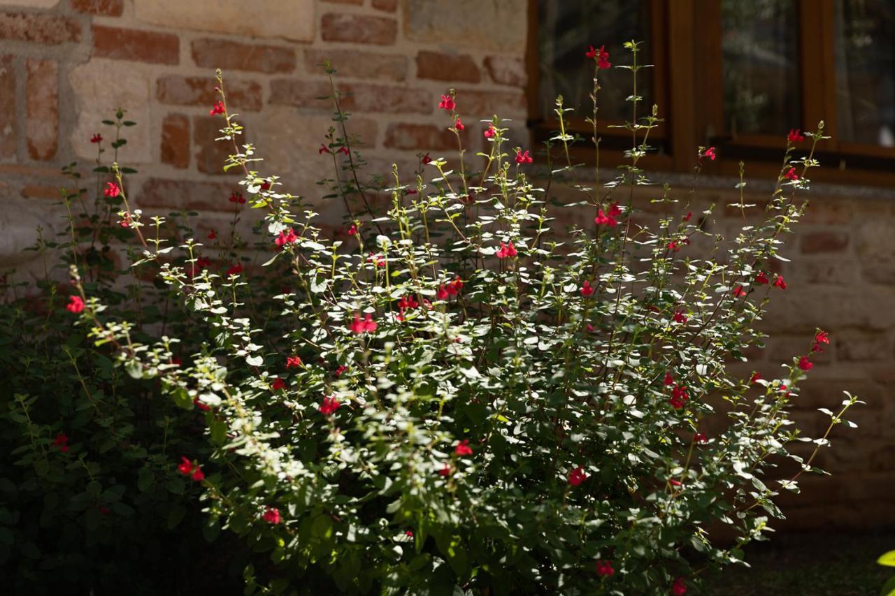 Holiday House Hana Rovinj Exterior foto